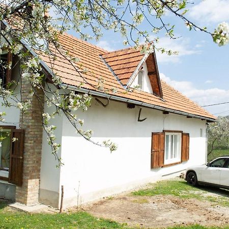 Willa Casa Bunicii - Bran Sohodol Sohodol  Zewnętrze zdjęcie