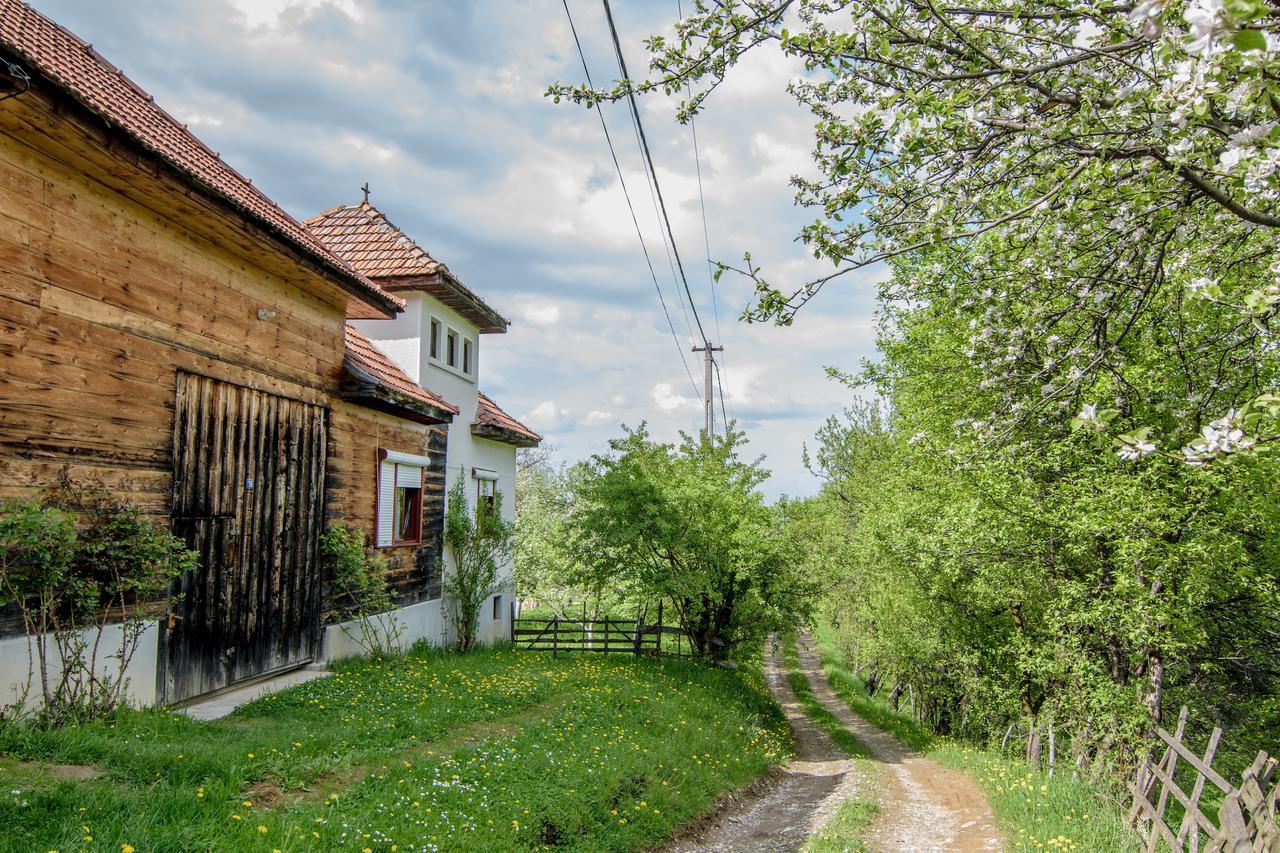 Willa Casa Bunicii - Bran Sohodol Sohodol  Zewnętrze zdjęcie