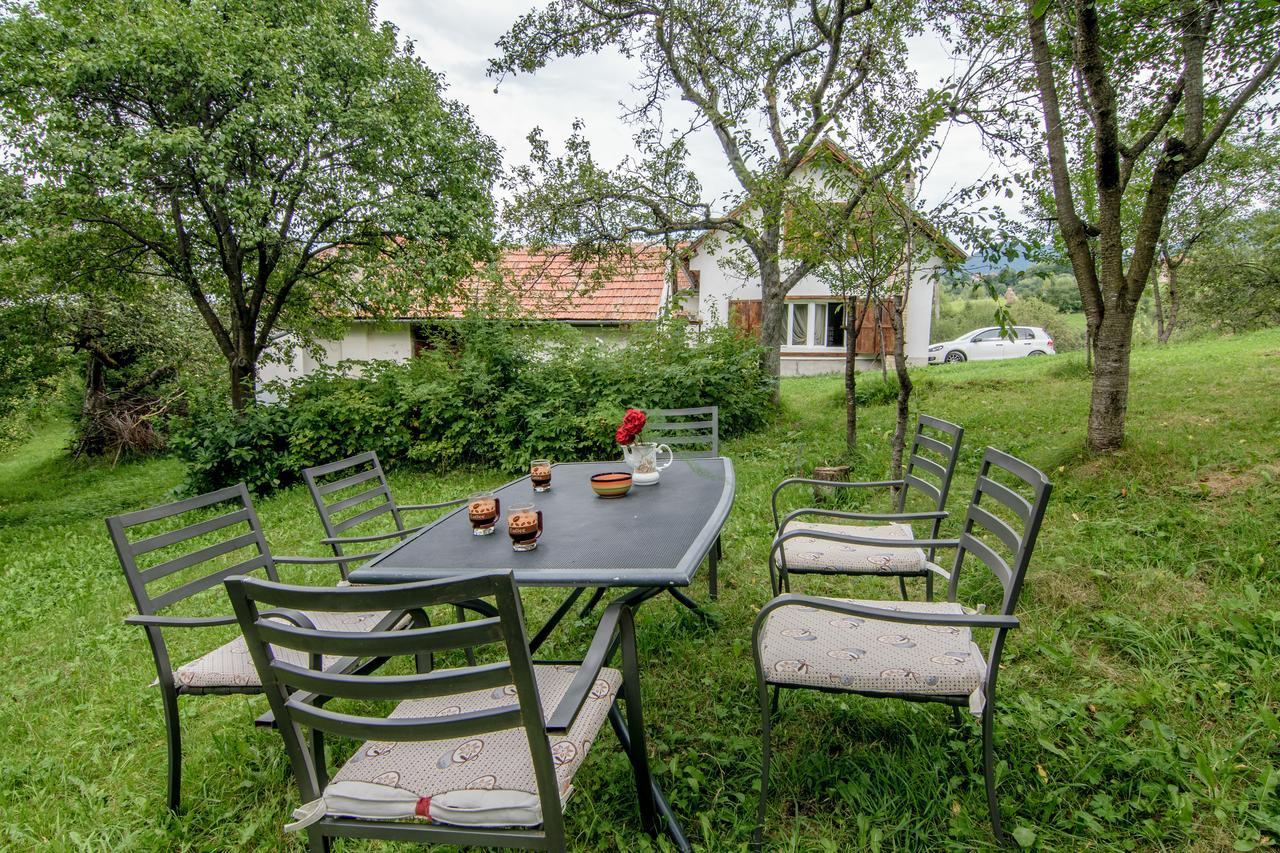Willa Casa Bunicii - Bran Sohodol Sohodol  Zewnętrze zdjęcie