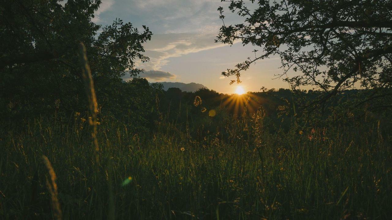 Willa Casa Bunicii - Bran Sohodol Sohodol  Zewnętrze zdjęcie