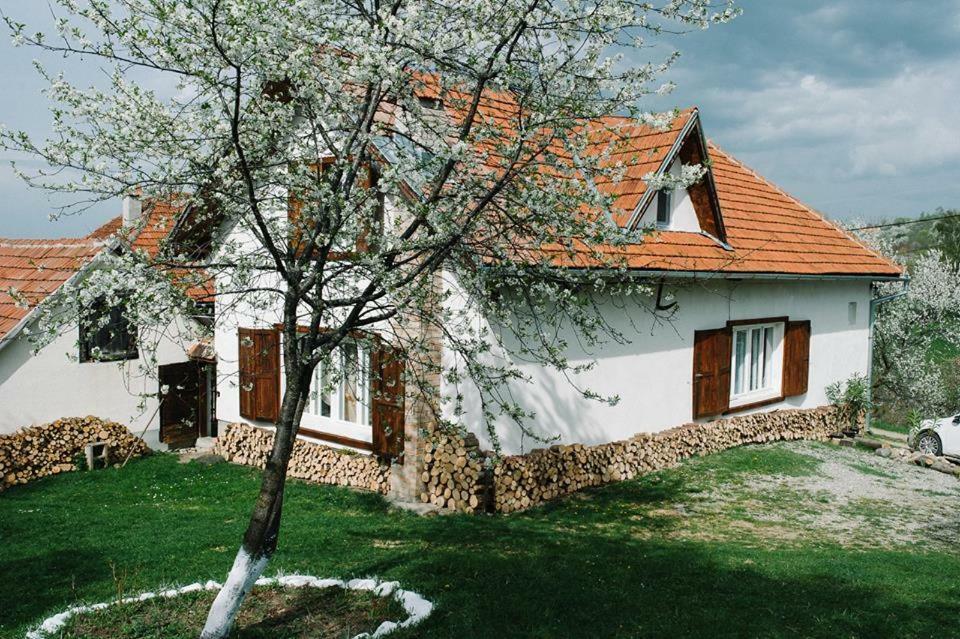 Willa Casa Bunicii - Bran Sohodol Sohodol  Zewnętrze zdjęcie