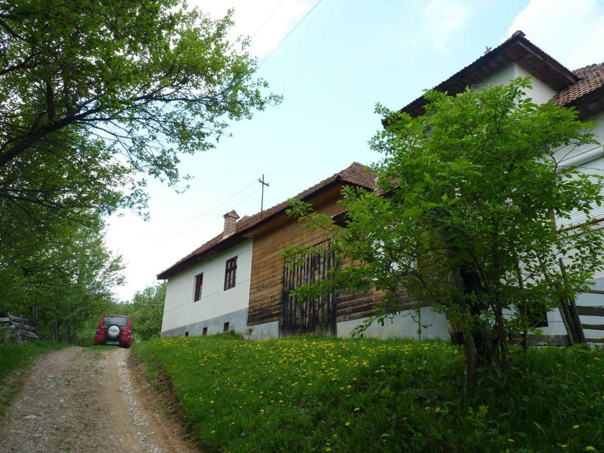 Willa Casa Bunicii - Bran Sohodol Sohodol  Zewnętrze zdjęcie