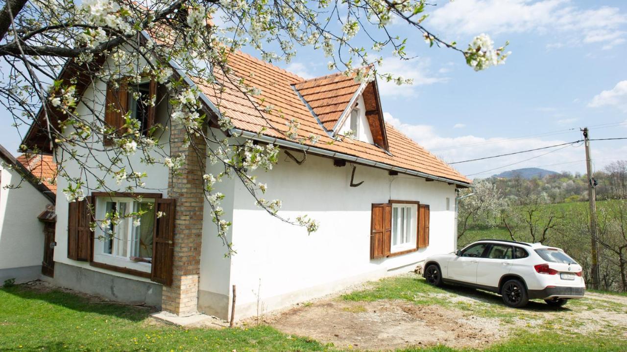 Willa Casa Bunicii - Bran Sohodol Sohodol  Zewnętrze zdjęcie